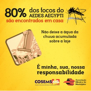 04-02 Dengue Domicilios